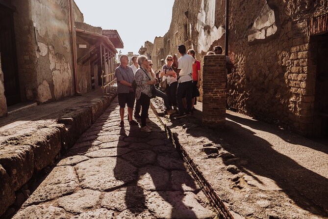 Herculaneum Small Group Tour With an Archaeologist - Group Size and Meeting Point