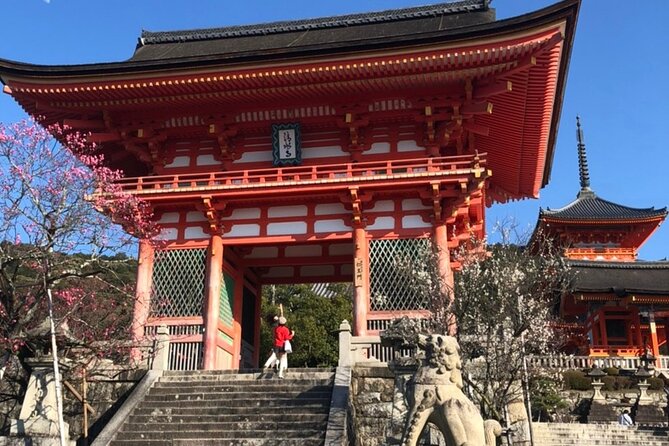 Hidden Gems, Kiyomizu-Temple and Fushimi-Inari Half Day Private