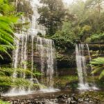 Hobart: Mt Wellington, Mt Field, Bonorong and Richmond Trip - Tour Details