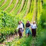 Hobart: Top Tasmanian Wineries Day Tour With Tastings - Tour Details