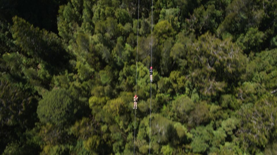 Hokitika: West Coast Tree Top Tower Zip Line and Walk - Activity Details