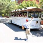 Hop-On Hop-Off Sightseeing Trolley Tour of Savannah - Tour Details