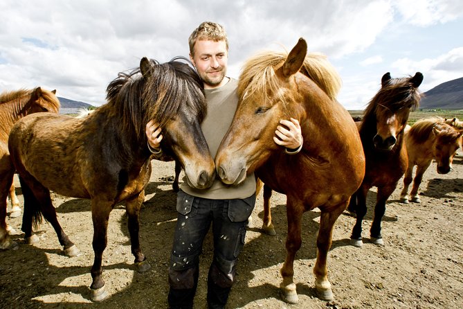 Icelandic Horseback Riding Tour Including Pick up From Reykjavik - Tour Highlights