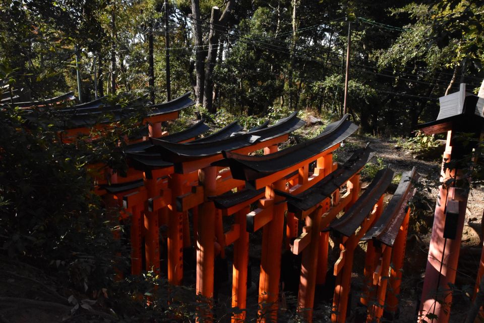 Inside of Fushimi Inari - Exploring and Lunch With Locals - Guided Hiking Tour Details