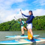 Ishigaki Island: SUP/Kayaking and Snorkeling at Blue Cave - Tour Duration and Activities