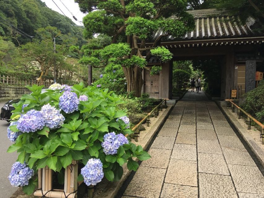 Kamakura: Private History and Heritage Tour by Rickshaw - Tour Options