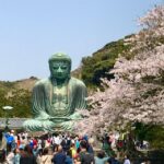 Kamakura & Yokohama: Highlight Tour in English - Tour Overview