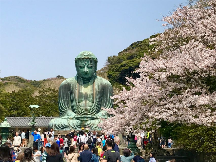 Kamakura & Yokohama: Highlight Tour in English