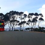 Katoomba: Blue Mountains Full-Day Hop-On Hop-Off Bus Tour - Tour Details