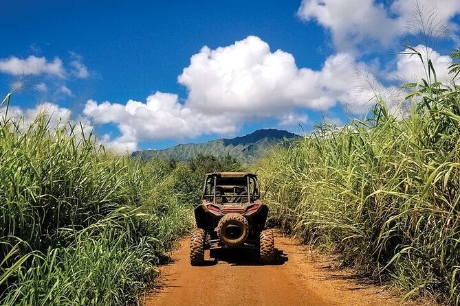 Kauai ATV Backroads Adventure Tour - Tour Highlights