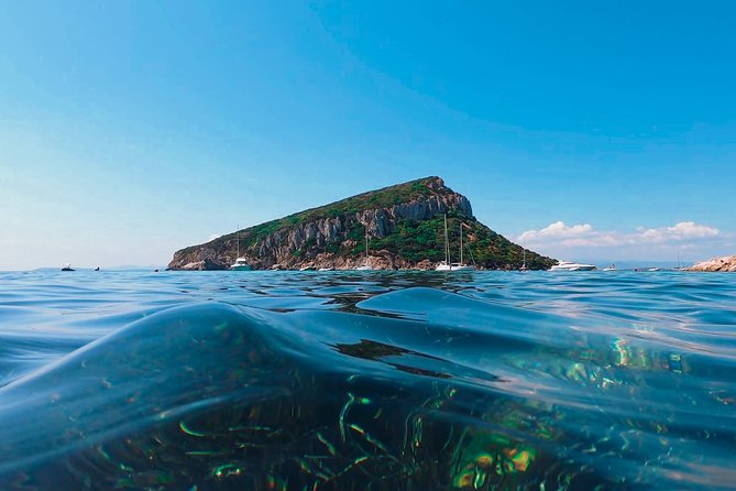 Kayak Tour With Aperitif and Dolphins