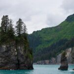 Kenai Fjords and Resurrection Bay Half-Day Wildlife Cruise - Tour Highlights