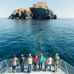 Kenai Fjords National Park Cruise From Seward - Meeting and Pickup