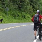 Ketchikan Electric Bike and Rain Forest Hike Ecotour - Tour Overview