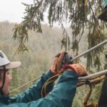 Ketchikan: Rainforest Zipline, Skybridge, & Rappel Adventure - Tour Overview