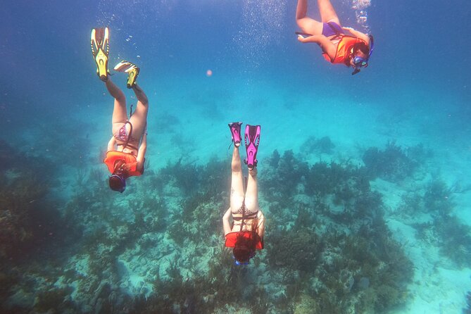 Key Largo Two Reef Snorkel Tour – All Snorkel Equipment Included!