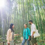 Kyoto: -Hour Arashiyama Walking Tour - Tour Overview