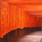 Kyoto/Kobe/Osaka: Arashiyama and Fushimi Inari Private Tour - Overview of the Tour