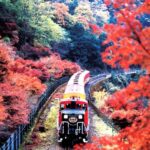 Kyoto/Osaka: Sanzenin, Bamboo Forest, & Arashiyama Day Trip - Overview of the Day Trip
