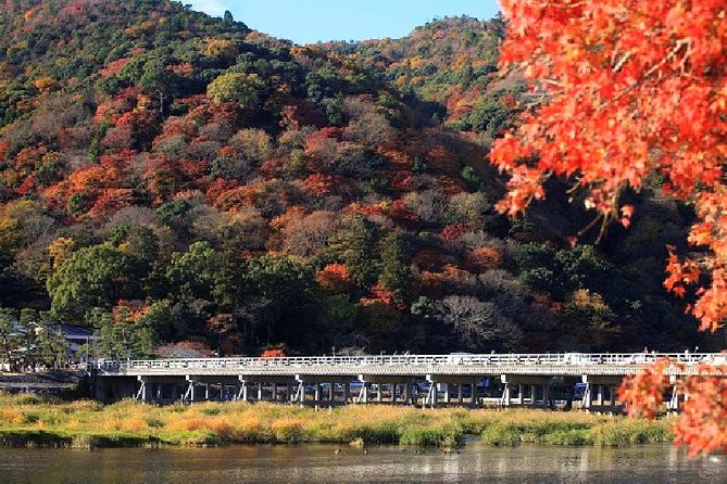 Kyoto Sagano Bamboo Grove & Arashiyama Walking Tour