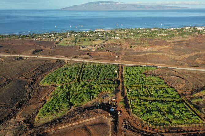 Lahaina: Maui Kuia Estate Guided Cacao Farm Tour and Tasting - Tour Details