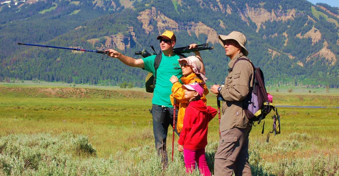 Lamar Valley: Safari Hiking Tour With Lunch - Tour Overview