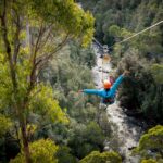 Launceston: Hollybank Forest Treetop Zip Lining With Guide - Experience Details