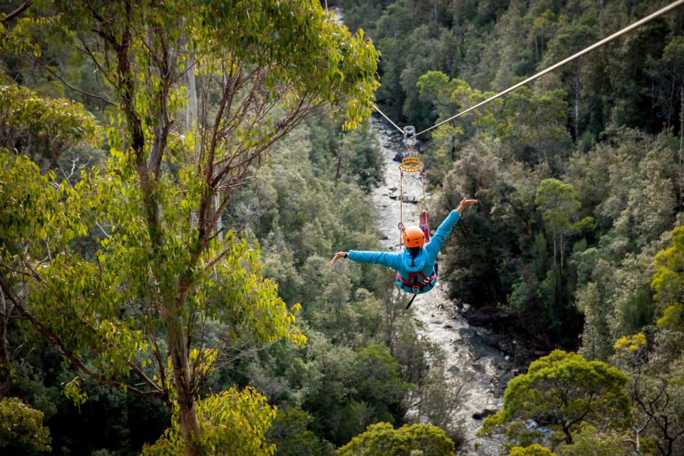 Launceston: Hollybank Forest Treetop Zip Lining With Guide - Experience Details