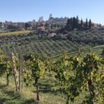 Lucca Private Day Tour to Chianti and San Gimignano - Tour Details