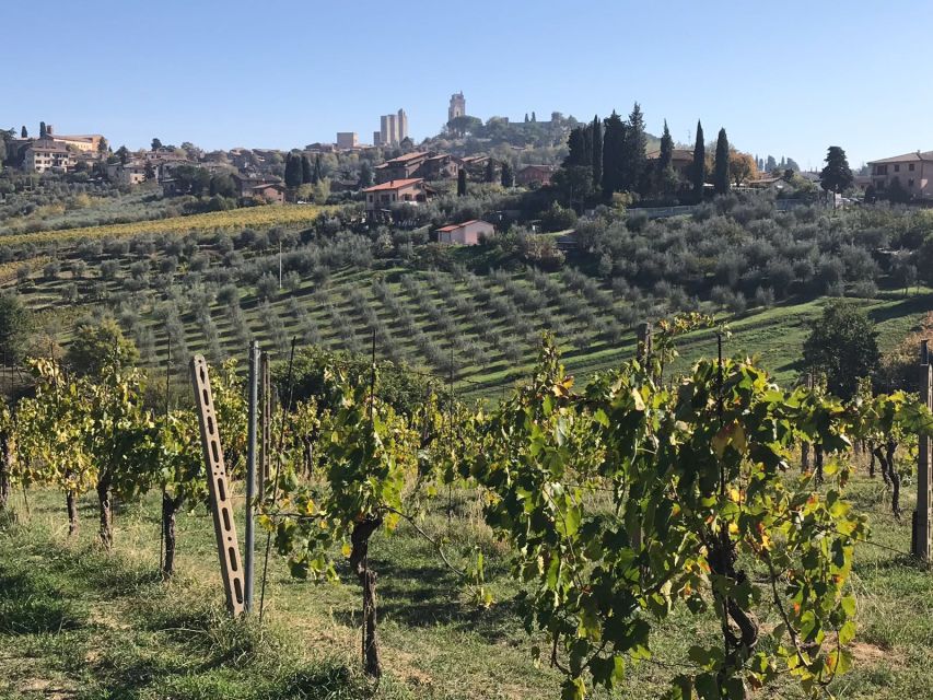Lucca Private Day Tour to Chianti and San Gimignano