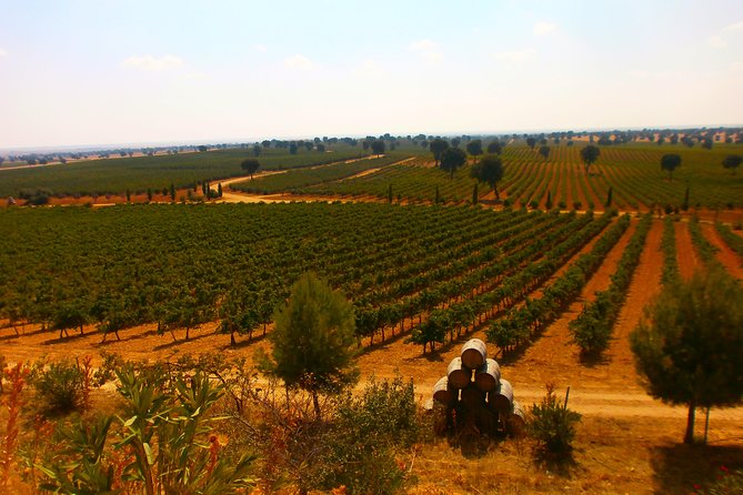 Madrid Countryside Wineries Guided Tour With Wine Tasting - Customer Reviews