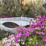 Magnolia Plantation Admission & Tour With Transportation From Charleston - Tour Highlights