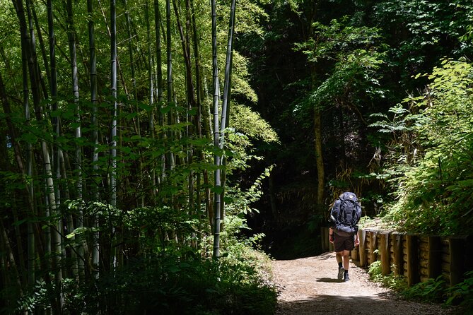 Magome & Tsumago Nakasendo Trail Day Hike With Government-Licensed Guide