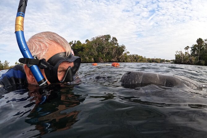 Manatee Adventure, Airboat, Lunch, Wildlife Park With Transport