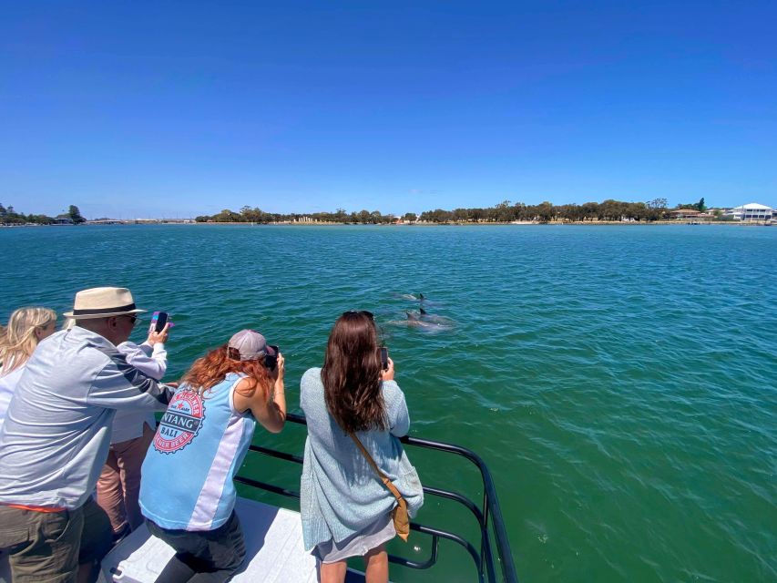 Mandurah: Sightseeing Dolphin Cruise With Tour Guide