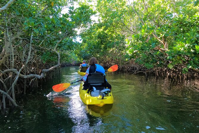 Mangrove Tunnel Kayak Adventure in Key Largo - Key Details