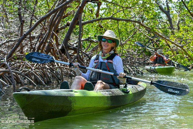 Mangrove Tunnels & Mudflats Kayak Tour - Local Biologist Guides - Tour Highlights