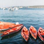 Manly: Mini Kayak Tour on Sydneys North Harbour - Tour Details