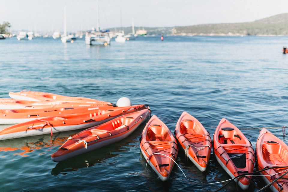 Manly: Mini Kayak Tour on Sydneys North Harbour - Tour Details