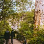 Margaret River: Self-Guided Audio Tour of Mammoth Cave - Ticket Details