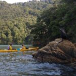 Marlborough Sounds: Full-Day Guided Kayak Tour With Lunch - Tour Details