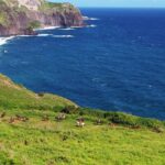 Maui Horseback-Riding Tour - Tour Overview