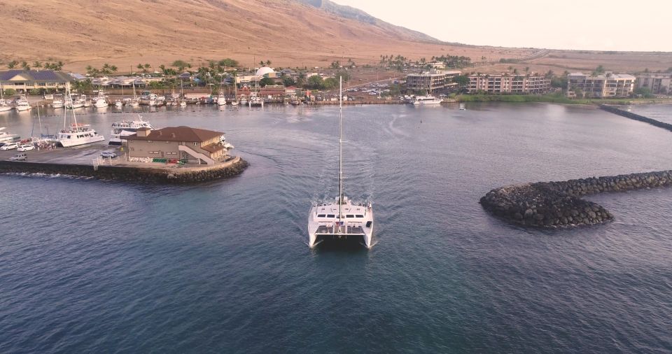 Maui: Luxury Alii Nui Catamaran Royal Sunset Dinner Sail