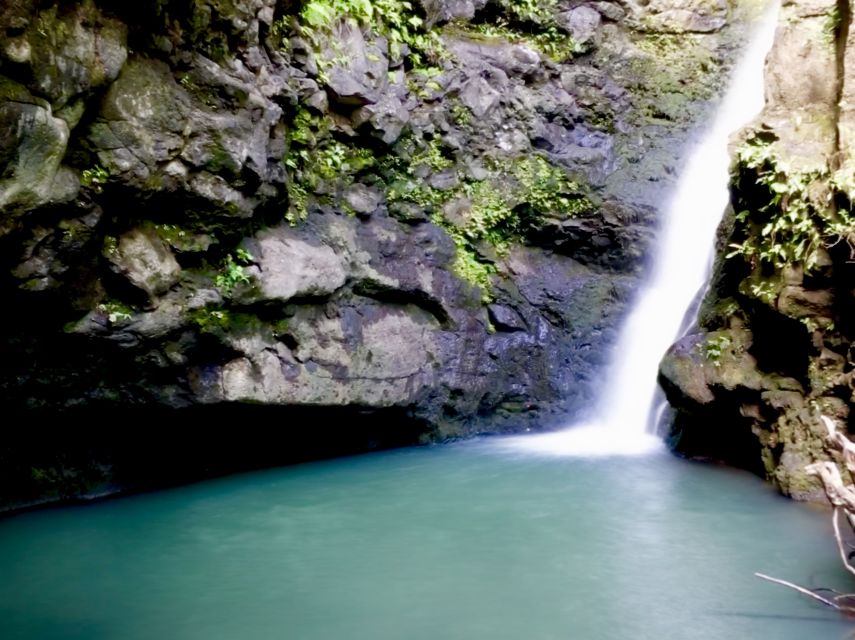 Maui: Private Jungle and Waterfalls Hiking Adventure - What to Bring and Not Allowed