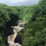 Maui Road to Hana Sightseeing Tour - Overview of the Tour