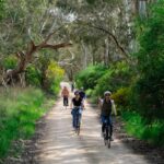 McLaren Vale: E-Bike Rental to Explore the Vineyards - McLaren Vale Overview