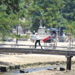 Miyajima: Private Rickshaw Tour to Itsukushima Shrine - Exploring Miyajima Island by Rickshaw