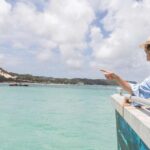 Moreton Island: Marine Discovery Cruise & Dolphin Viewing - Pricing and Duration