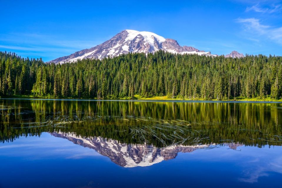 Mount Rainier National Park:Nature, Waterfalls,and Wildlife - Park Overview