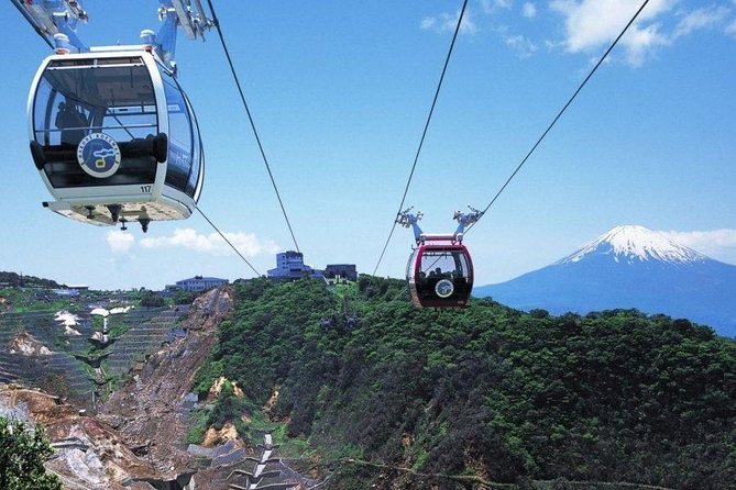 Mt. Fuji and Hakone Day Trip From Tokyo With Bullet Train Option - Inclusions